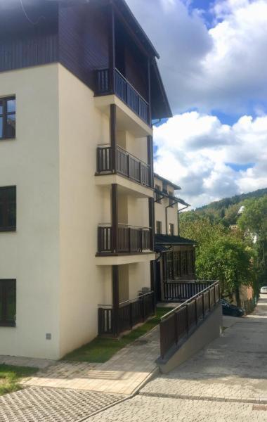 Gold Apartments Your Holiday Home Rodzinny 3 Krynica Zdroj Eksteriør billede